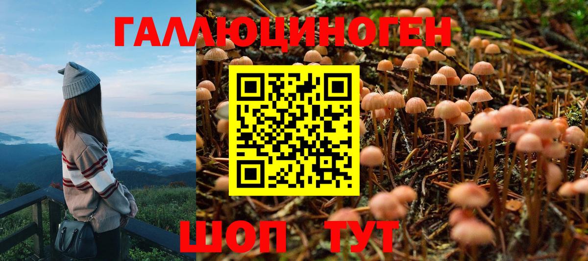 Галлюциногенные грибы Psilocybe  Вход с VPN  Тихорецк  Псилоцибиновые грибы Psilocybine cubensis 